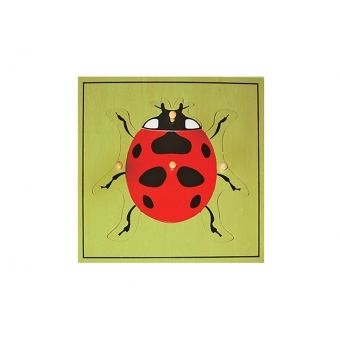 UUR BCE - LADYBUG PUZZLE