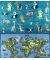 ANIMALS WORLD MAP 200x290 MAV BUKLE